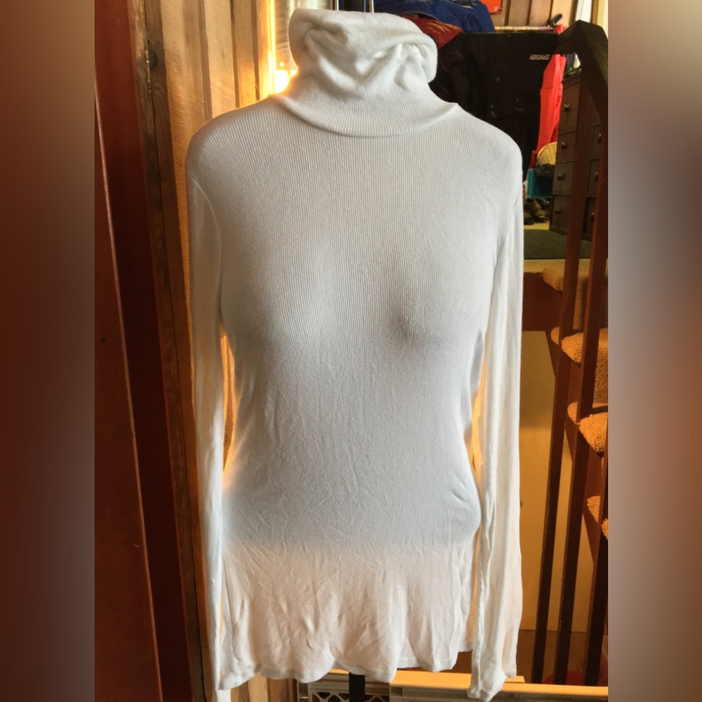 Fabulous Three Dots ribbed turtleneck top!
